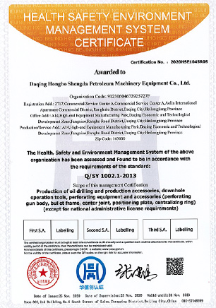 HSE management system